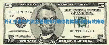外汇交易中的资金管理技巧助你稳健获利的有效策略