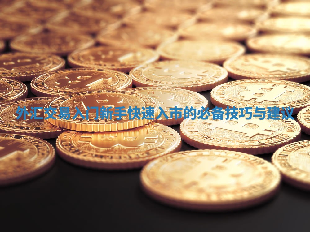 外汇交易入门新手快速入市的必备技巧与建议