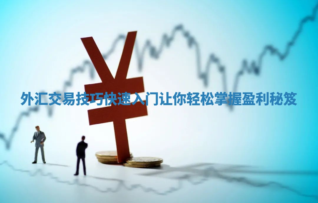 外汇交易技巧快速入门 让你轻松掌握盈利秘笈
