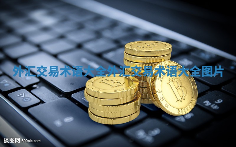 外汇交易术语大全 外汇交易术语大全图片