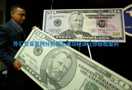 外汇交易案例分析揭示成功秘诀让你轻松盈利