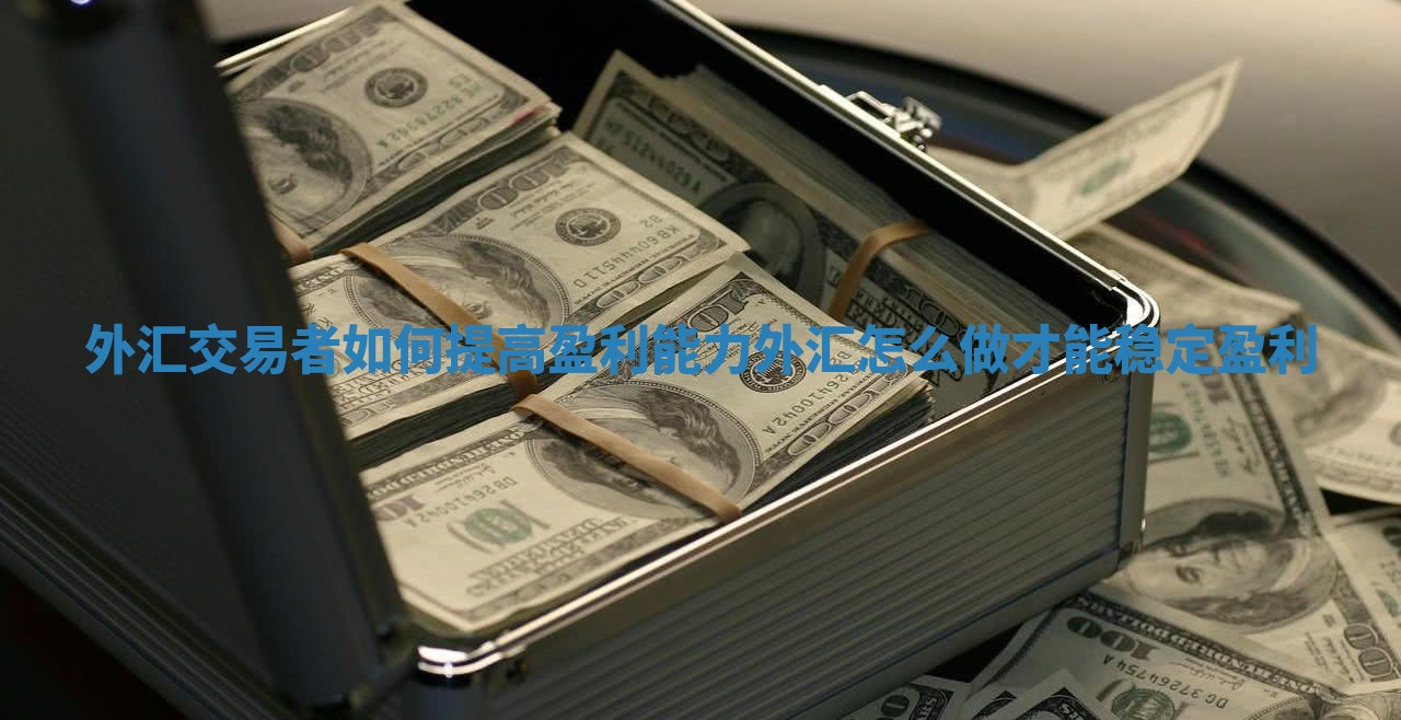 外汇交易者如何提高盈利能力_外汇怎么做才能稳定盈利