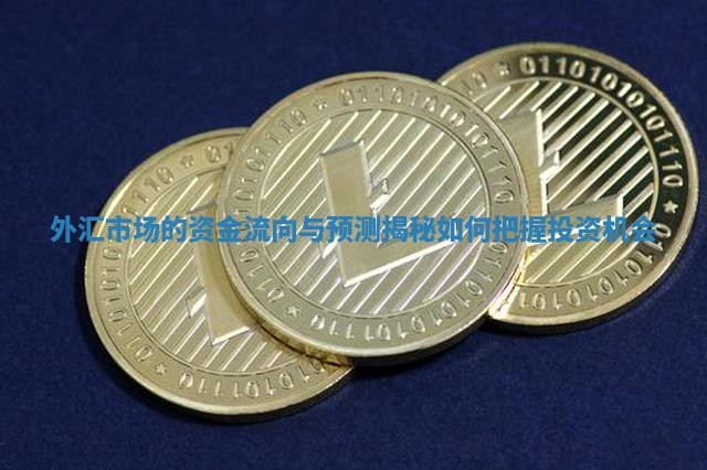 外汇市场的资金流向与预测揭秘如何把握投资机会