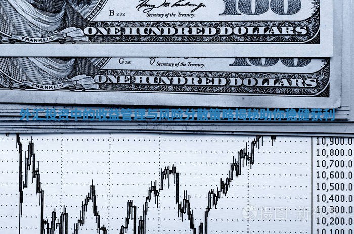 外汇投资中的收益管理与风险分散策略揭秘助你稳健获利