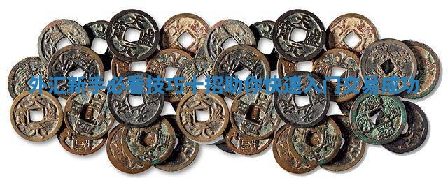 外汇新手必看技巧十招助你快速入门交易成功