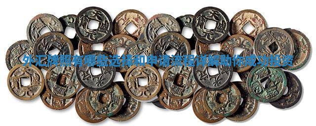 外汇牌照有哪些选择和申请流程详解助你成功投资