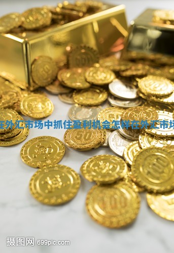 如何在外汇市场中抓住盈利机会_怎样在外汇市场赚钱