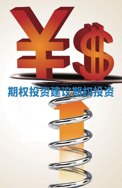 期权投资建议_期权 投资